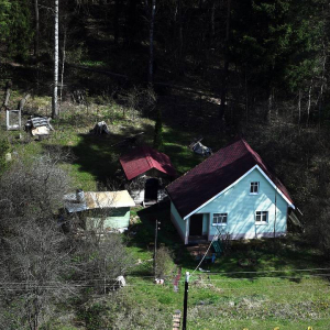 Дачников предупредили о риске лишиться участка